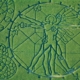 2012 Vitruvian Man/Technology Corn Maze