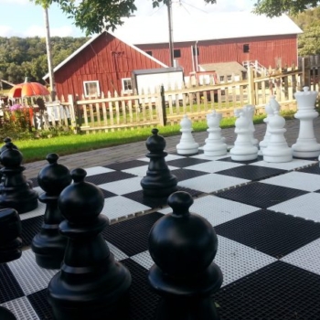 Chess pieces on large board outside farm