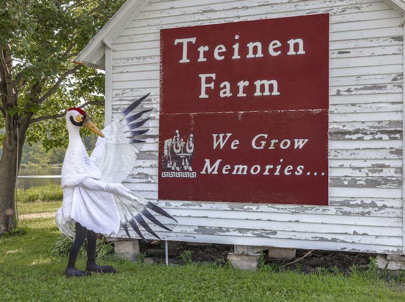 Person in whooping crane costume gesturing at Treinen Farm sign