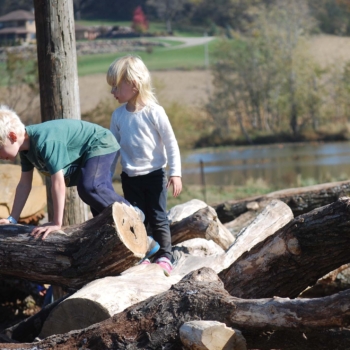 Kids climbing on logs