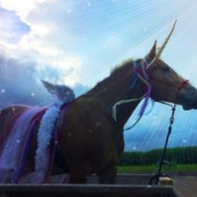 Horse dressed up as unicorn Horse dressed up as unicorn