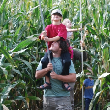 Group carrying flags through corn maze