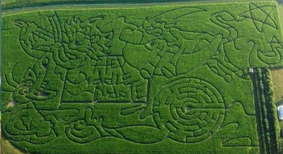 2005 Cat and the Fiddle Corn Maze