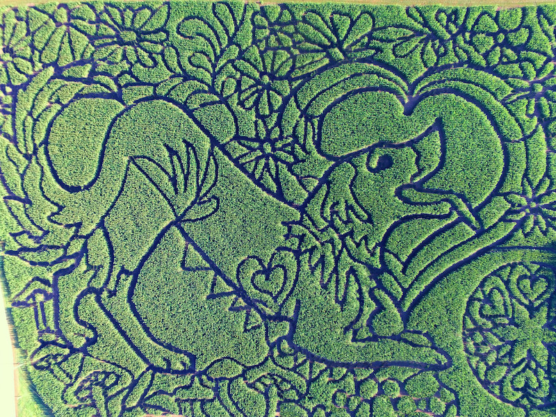 2023 "To All the Good Dogs" Corn Maze