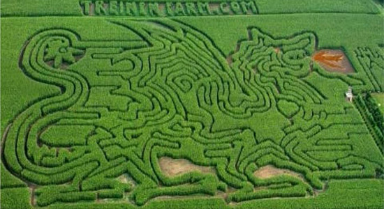 2003 Dragon Corn Maze