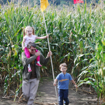 Man and kids carrying flag through corn maze