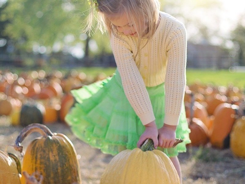 Little girl lifting pumpkin