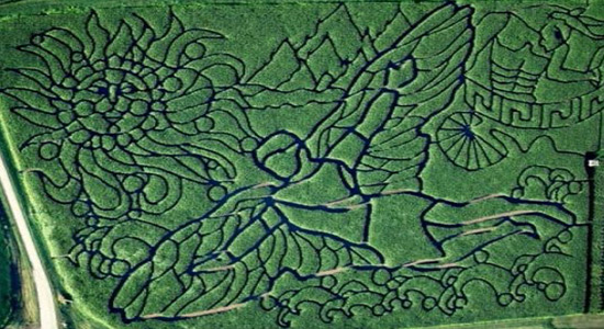 2011 Icarus Corn Maze