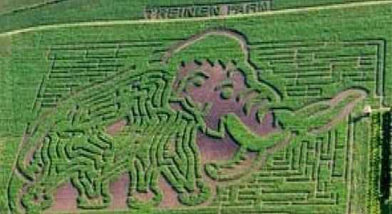 2002 Mammoth/Ice Age Trail Corn Maze