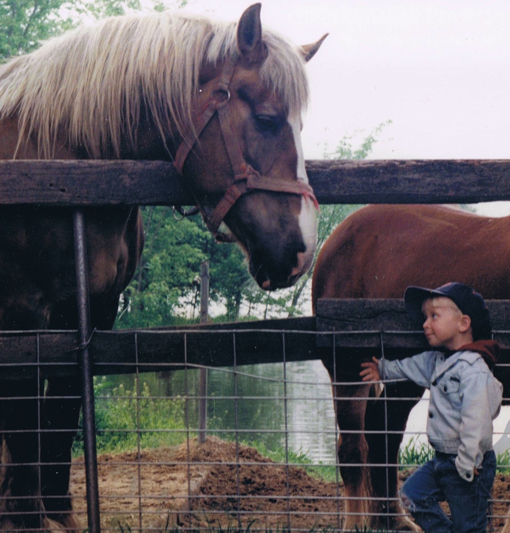 Kid looking up at large horse Kid looking up at large horse