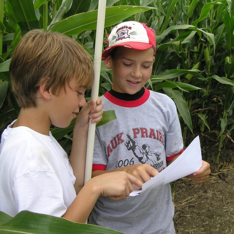 Kids reading map in corn maze