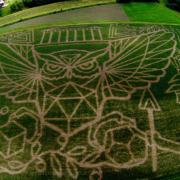 Aerial view of 2014 Owl maze Aerial view of 2014 Owl maze