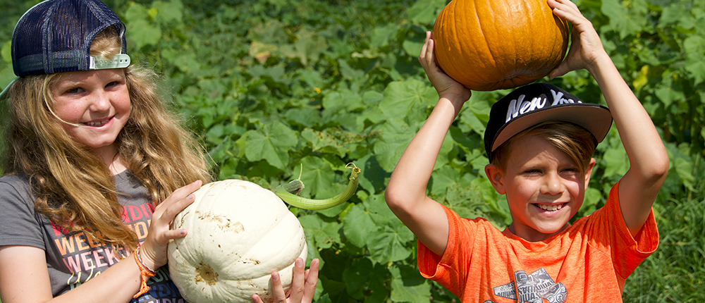 Kids holding up pumpkins Kids holding up pumpkins
