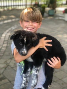 Kid holding up puppy Kid holding up puppy