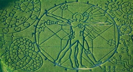 2012 Vitruvian Man/Technology Corn Maze