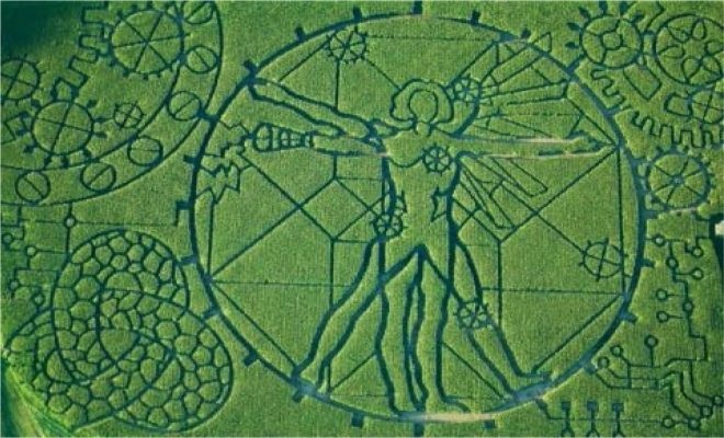 2012 Vitruvian Man/Technology Corn Maze