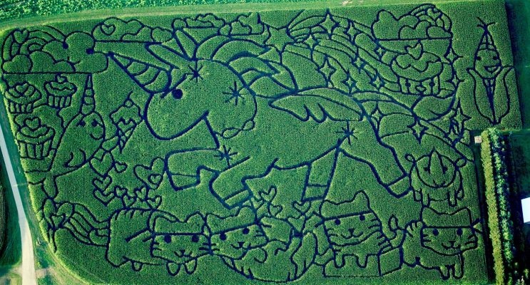 2017 Rainbows, Kittens, and Killer Baby Unicorns Corn Maze