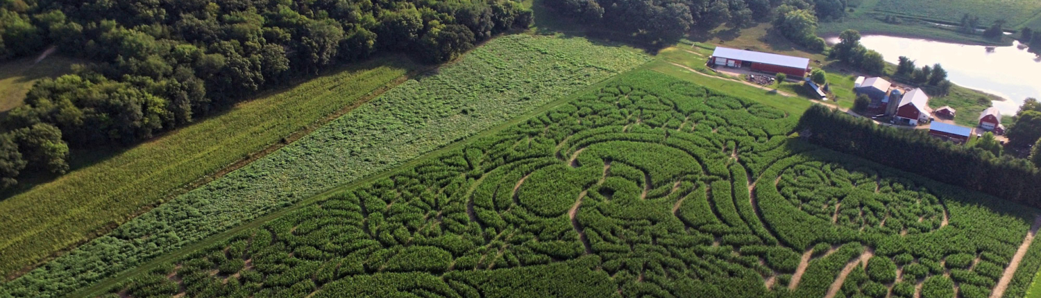 Aerial view of 2023 Good Dogs maze Aerial view of 2023 Good Dogs maze