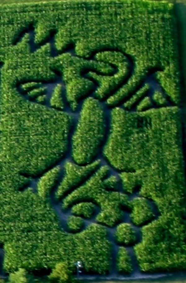 battle-2007-corn-maze