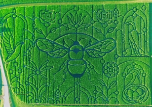overhead view of birds and bees maze
