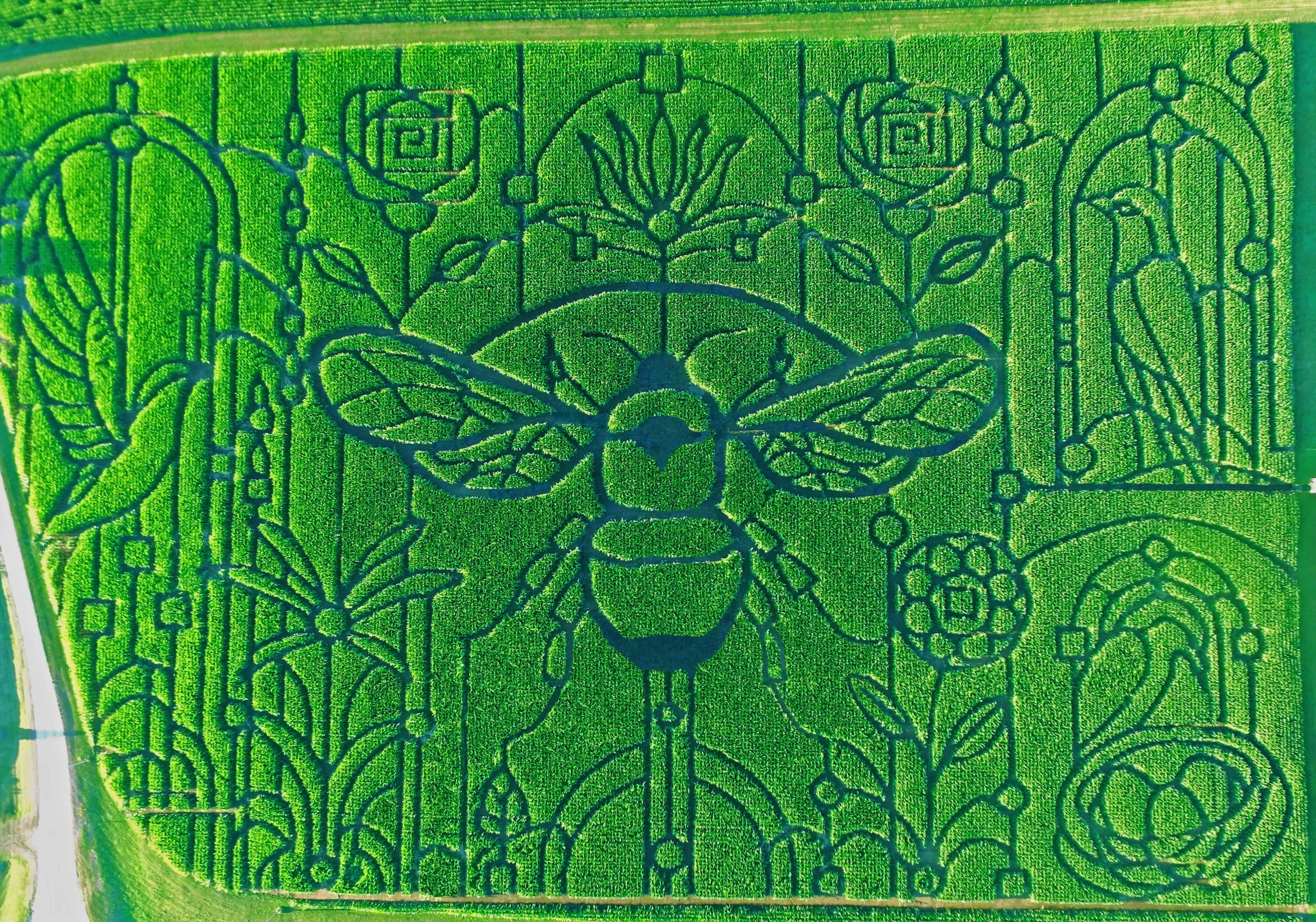 overhead view of birds and bees maze
